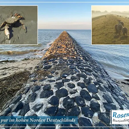 Nordseeurlaub Im Hochwertigen Feriendomizil Rosenhuus Mit Sauna Und Kamin Im Idyllischen בית נופש בוטיאדינגן