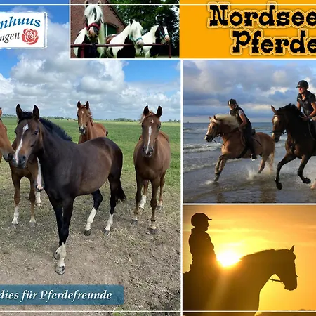 Nordseeurlaub Im Hochwertigen Feriendomizil Rosenhuus Mit Sauna Und Kamin Im Idyllischen