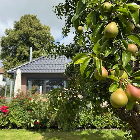 Feriendomizil Rosenhuus - Hochwertiger Nordseeurlaub Mit Sauna Und Kamin Im Idyllischen