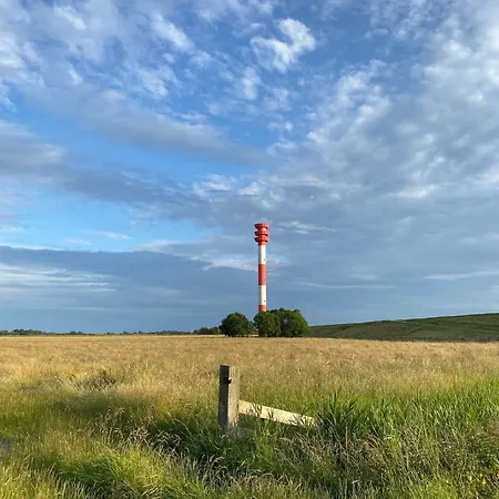 Feriendomizil Rosenhuus - Hochwertiger Nordseeurlaub Mit Sauna Und Kamin Im Idyllischen Butjadingen