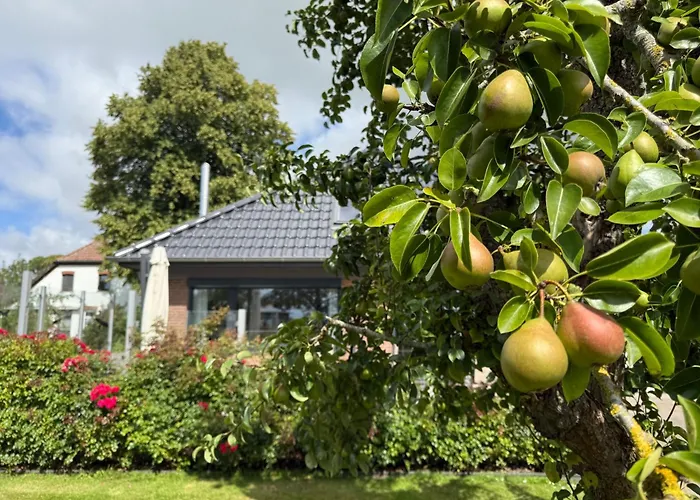 Nordseeurlaub Im Hochwertigen Feriendomizil Rosenhuus Mit Sauna Und Kamin Im Idyllischen