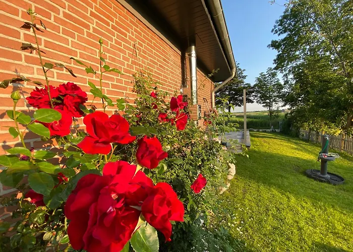 Feriendomizil Rosenhuus - Hochwertiger Nordseeurlaub Mit Sauna Und Kamin Im Idyllischen בית נופש